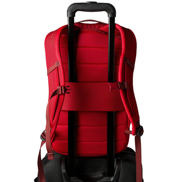 Cotopaxi Allpa 18L Daypack - Rucksack 43 cm (spicy) - Ansicht 7