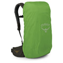 Osprey Kestrel LT 28 - Wanderrucksack 65 cm (moss green) - Ansicht 4