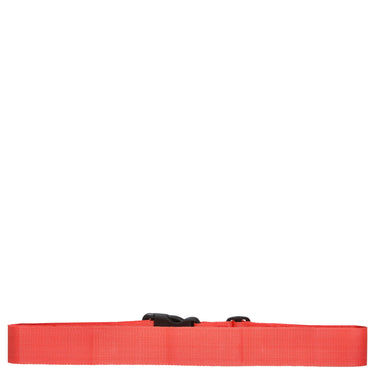 D&N Accessoires - Koffergurt (orange) - Ansicht 5